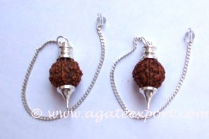 Rudraksha