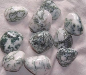 Tree Agate